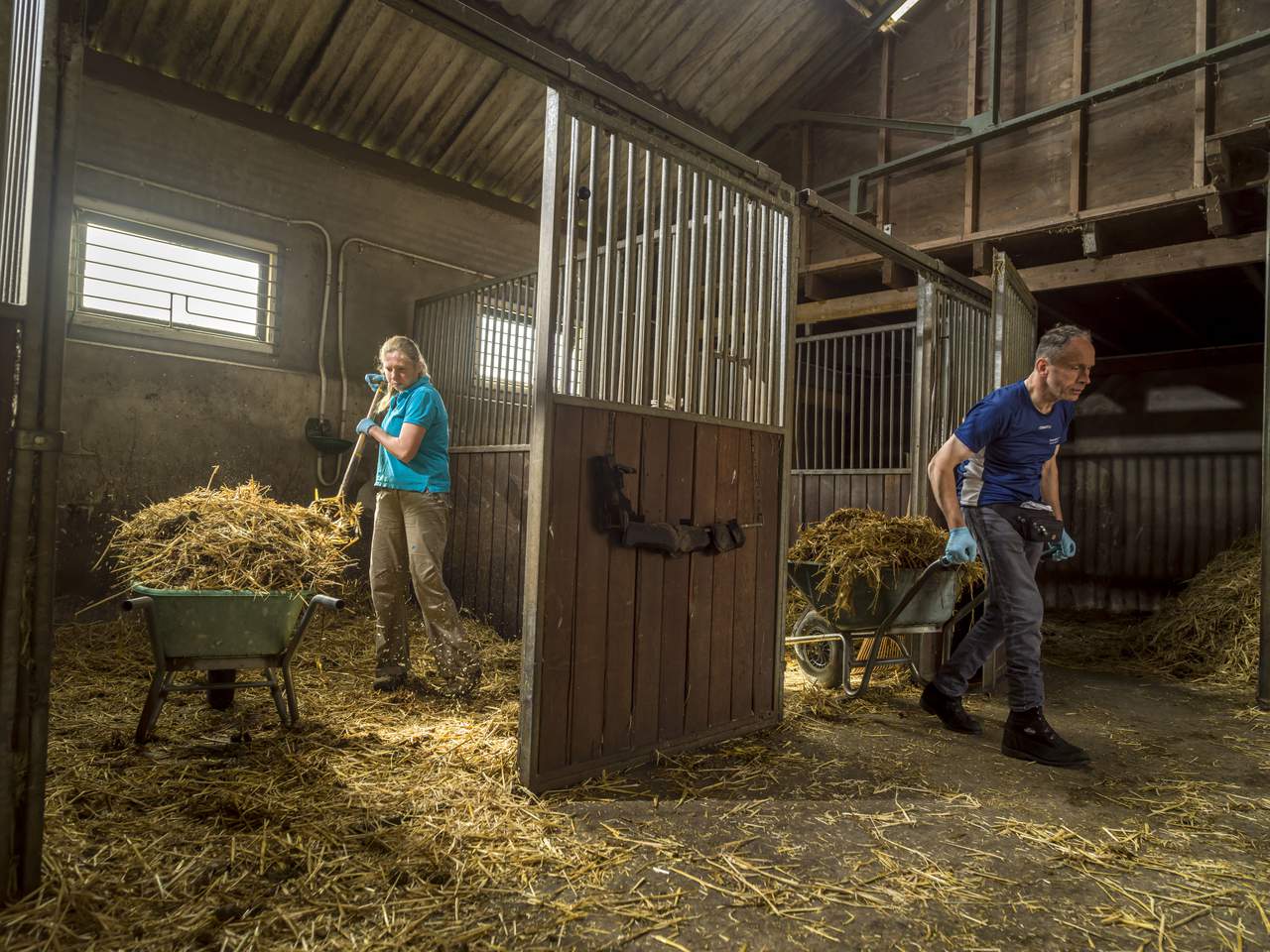 Werken in de stallen