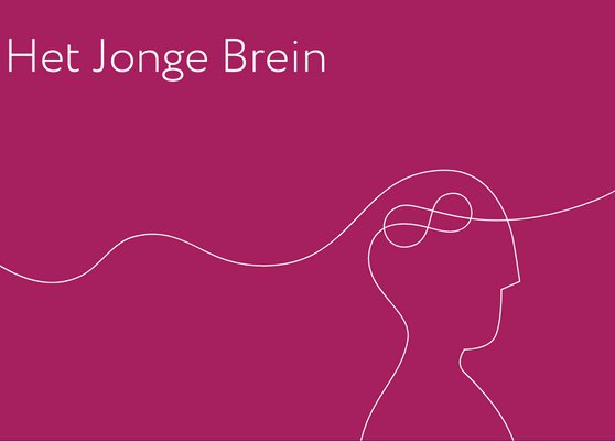 Het Jonge Brein