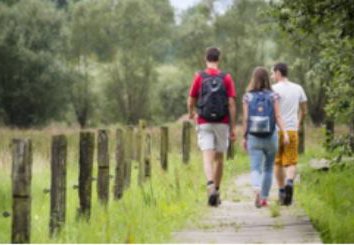 Wandelen