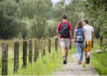 Wandelen